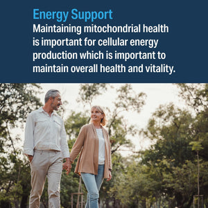 Advanced Bionutritionals – Advanced Mitochondrial Formula Support Supplement, Healthy Aging, Repair, Energy Optimizer with Coq10, PQQ, Alpha Lipoic Acid, Gluten Free, Vegan, Non GMO (60 Tablets)