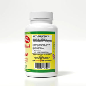 Sunshine Naturals Chanca Piedra with Guisazo De Caballo, Traditional Stone Breaker Herb, Kidney and Urinary Tract Support Supplement, 1000 Mg Proprietary Blend, 90 Capsules
