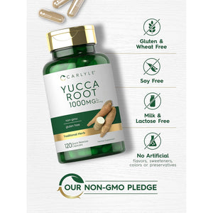 Carlyle Yucca Root Extract | 120 Capsules | Herbal Supplement | Non GMO and Gluten Free
