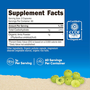 Nutricost Amla 1000Mg, 120 Vegetarian Capsules - CCOF Certified Made with Organic, Non-Gmo, Gluten Free, 60 Servings