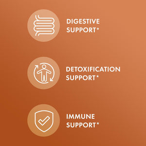 Dr. Mercola Organic Digestive Bitters Liquid Drops - Digestive Health Support - Alcohol-Free Formula - Features Burdock Root, Dandelion Leaf, Fennel Seed & More - 2 Fl. Oz. (30 Servings)