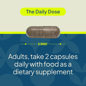 Nature'S Wonder Daily GLP-1 Support Supplement, Supports Healthy Weight Management & Appetite Control*, Includes Clinically Studied Metabolaid | 60 Capsules, 30 Day Supply