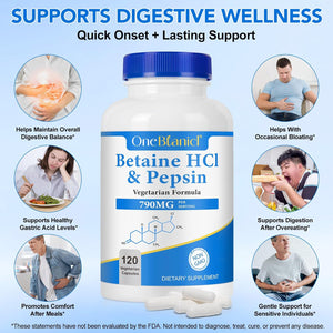 Betaine Hcl with Pepsin Digestive Enzymes Supplement, 120 Vegan Capsules, 790Mg Gluten-Free Formula for Digestive Support & Stomach Comfort, Plant-Based, Non-Gmo