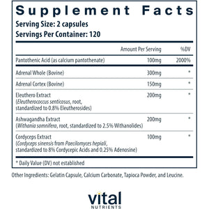 Vital Nutrients Adrenal Support - Adrenal Support Supplements for Gland Function and Cortisol Management - Supports Energy and Stress Levels - Gluten, Dairy, Soy Free - 240 Capsules