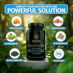 Sea Moss Capsules – Irish Sea Moss Advanced, Magnesium, Ashwaghanda, Black Seed Oil, Burdock Root & Bladderwrack – Immune Support, Gut Health, Energy, & More – 60 Capsules