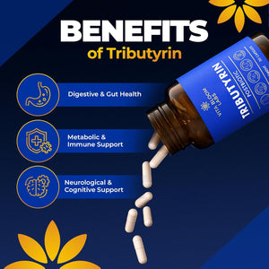 Tributyrin Supplement - Better Delivery & More Effective than Sodium Butyrate - Gut Health & Digestive Support - 3-In-1 Butyrate Postbiotics for Leaky Gut & Gut Barrier Support - 30 Capsules