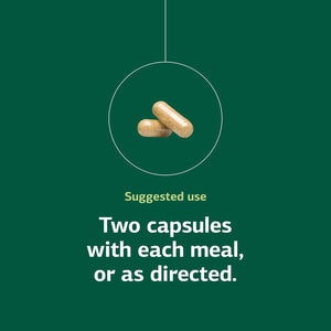 Standard Process Emphaplex - Respiratory System Supplement for Antioxidant Support - for Cellular Energy Support & Nervous System Health - 90 Capsules (45 Servings)
