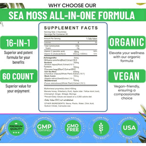16 in 1 Sea Moss Gummies — Us-Made, 3X Potent Seamoss Gummies for Men and Women with Black Seed Oil, Ashwagandha, Burdock, and More — Supports Immunity, Energy & Vitality (30-Day Supply, 60 Gummies)