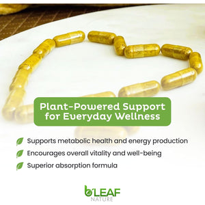 B’Leaf Nature Berberine Phytosome, 120 Capsules – 1100Mg Berberine Supplement for Metabolic and Cardiovascular Support – Vegan, Gluten-Free, Non-Gmo Berberine Phytosome Capsules for Immune Wellness