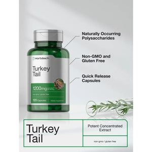 Horbäach Turkey Tail Mushroom Capsules | 120 Count | Non-Gmo and Gluten Free Extract