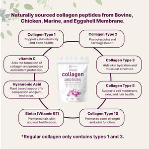 Micro Ingredients Multi Collagen Peptides Powder, 2Lb – Hydrolyzed Type I,II,III,V,X with Biotin, Hyaluronic Acid, Vitamin C – Unflavored Collagen for Women & Men, Easy Dissolve, 82 Servings