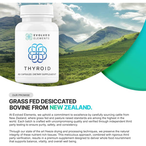 Thyroid – Raw Grass-Fed Desiccated – New Zealand Sourced - Energy & Metabolism Support – Non-Gmo, 60 Capsules