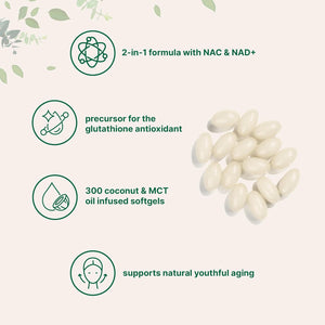 Micro Ingredients NAC Supplement 600Mg with NAD+ & Coconut Oil, 300 Softgels | 2-In-1 N Acetyl L Cysteine plus Nicotinamide Forms | NAD Supplements for Women & Men | Non-Gmo, Gluten Free