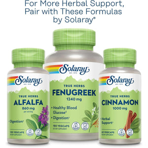 SOLARAY Nopal Prickly Pear Cactus Capsules - 500 Mg per Serving, Rich in Naturally Occuring Fiber, Antioxidants, and Carotenoids, Provides Key Nutrients in a Vegan Formula - 100 Count Vegcaps