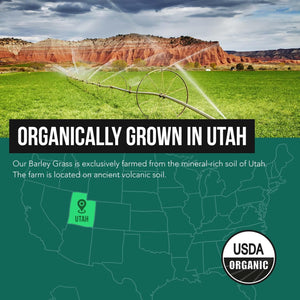 Organic Barley Grass Juice Powder - Grown in Volcanic Soil of Utah - Raw & Bioactive Form, Cold-Pressed Then CO2 Dried – Gluten Free, GMO Free, Vegan - Complements Wheatgrass Juice Powder - 5.3 Oz