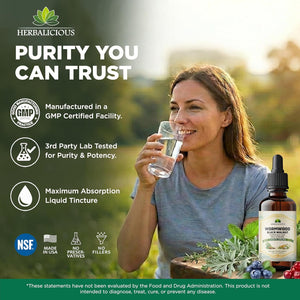 HEBRALICIOUS Wormwood Black Walnut Clove Parasite Cleanse – Herbal Liquid Drops with Pumpkin Seed, Garlic & Oregano Oil – Alcohol-Free Tincture Supplement, 4 Fl Oz (120 Ml)