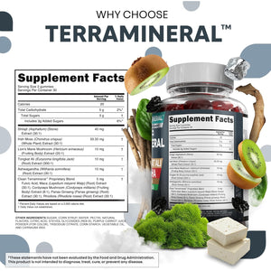 Terramineral Shilajit Gummies with Irish Sea Moss Tongkat Ali Ashwagandha Lion'S Mane MACA Panax Ginseng Rhodiola & Cordyceps by Clean Nutra (1)
