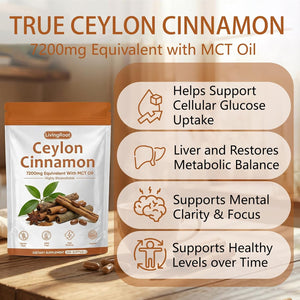 Living Root Ceylon Cinnamon - 300 Softgels 7200Mg Equivalent with MCT Oil, Livingroot Organic Ceylon Cinnamon Powder Supplement for Supports Metabolism, Liver Function & Energy (1)