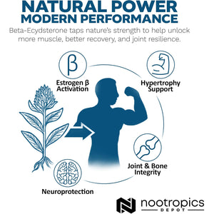 Nootropics Depot Beta Ecdysterone/20-Hydroxyecdysone 50% Capsules | 500Mg | Cyanotis Arachnoidea Extract | Phytoecdysteroid | 30 Count