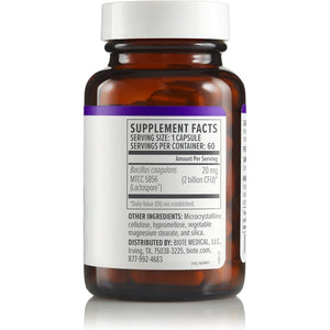 Biote Nutraceuticals - Bacillus COAGULANS - Gut + Digestive (60 Capsules)