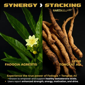 Earth Elixir LJ100 Tongkat Ali & Fadogia Agrestis for Men – Natural Testosterone Supplement - Made in USA & 3Rd Party Tested for Strength, Energy & Vitality - Clinically Studied Tongkat Ali LJ100