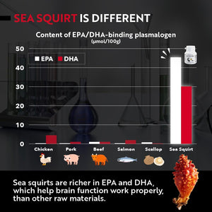 REMORY Plasmalogen Sea Squirt Supplement - Brain Health Supplement - 30 Days Supply