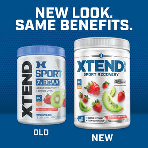 Xtend Scivation Sport BCAA Powder Strawberry Kiwi Splash - Electrolyte Powder for Recovery & Hydration with Amino Acids - 30 Servings