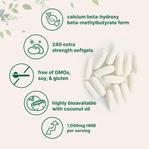 HMB 1,000Mg | 240 Softgels with Coconut Oil | Highly Bioavailable | HMB Supplements for Men & Women | Calcium Beta-Hydroxy Beta-Methylbutyrate | Supports Lean Muscle Mass & Muscle Recovery
