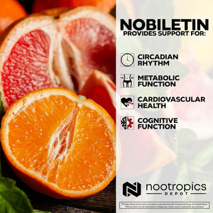 Nootropics Depot Nobiletin Capsules | 250Mg | 30 Count | 20% Extract | Citrus Aurantium | May Help Suppot Cognitive & Metabolic Function | May Help Promote Cardiovascular Function