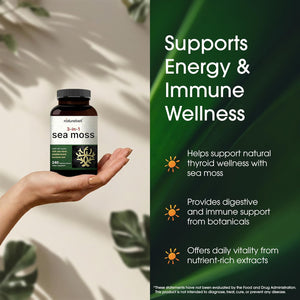 Naturebell 3-In-1 Sea Moss - 240 Vegetarian Capsules - Sea Moss Complex with Organic Bladderwrack & Organic Burdock Root - Healthy Digestion, Vitality & Immune Support*