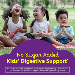 L’Il Critters Fiber Daily Gummy Supplement for Kids, for Digestive Support, Berry and Lemon Flavors, 90 Gummies