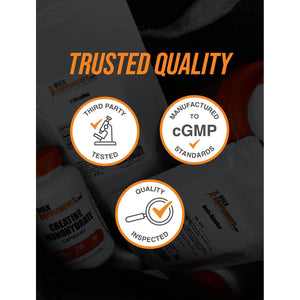 Bulksupplements.Com L-Theanine Capsules - L-Theanine Supplement, L-Theanine 200Mg, Theanine Pills - Amino Amino Supplement, Gluten Free - 1 Theanine Capsule per Serving, 365 Capsules