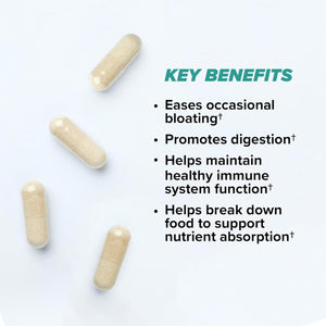 ONNIT Total Gut Health Daily Digestive Support, IGEN Non-Gmo Tested Digestion Supplement for Women and Men with 7 Strains of Probiotics, Prebiotics, Enzymes and Betaine HCL, 120 Count