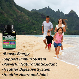 Organic Irish Sea Moss Capsules 120 Count –16 in 1 Sea Moss Supplement with Black Seed Oil, Ashwagandha, Turmeric & Ginger, Bladderwrack & Burdock Root, Vitamin D3 –Organic, Vegan, Halal, Non-Gmo