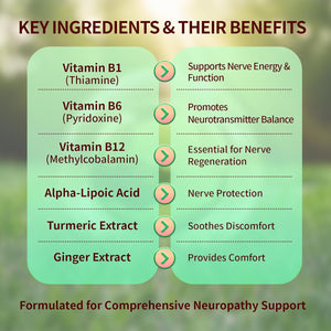 Sugar Free Neuropathy Support Gummies for Nerve – Enhanced Nerve Health, Regeneration, Cognitive Support with Vitamin B1, B6, B12, Magnesium, ALA, Turmeric, Coq10 & More