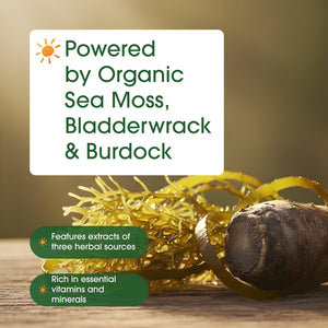 Naturebell 3-In-1 Sea Moss - 240 Vegetarian Capsules - Sea Moss Complex with Organic Bladderwrack & Organic Burdock Root - Healthy Digestion, Vitality & Immune Support*