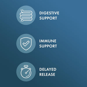 Dr. Mercola Biothin Probiotic - Lactobacillus Gasseri BNR17 - Supports Digestive Health & Metabolism - 30 Delayed-Release Capsules (30 Servings)