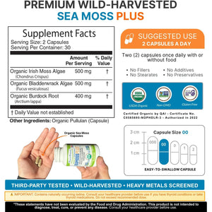 Power by Naturals Sea Moss plus – USDA Organic Irish Sea Moss Capsules with Bladderwrack & Burdock Root – Immune Support for Adults – Vegan, Non-Gmo, Gluten-Free – 60 Capsules (1-Month Supply)