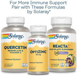SOLARAY L-Lysine Monolaurin Immune Support Supplement, 1:1 Ratio for Immune System Function, 500 Mg Each, 60-Day Money Back Guarantee, 30 Servings, 60 Vegcaps