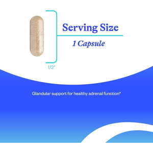 Seeking Health Adrenal Cortex - Adrenal Supplement to Support Healthy Nervous System & Energy - Gluten-Free & Dairy-Free Nervous & Immune System Supplement - 50 Mg, 60 Capsules