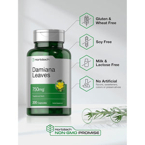 Horbäach Damiana Leaf Extract | 200 Capsules | Herbal Supplement | Non-Gmo, Gluten Free Formula