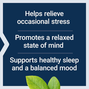 Life Extension GABA, Stress Support, GABA Supplement, Mood Support, Sleep, Relaxation, Gluten-Free, Non-Gmo, Vegetarian, 60 Capsules