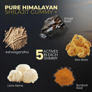 Pure Shilajit Gummies, Sea Moss, Ashwagandha, 105+ Trace Minerals – Organic Burdock Root & Lions Mane Mushroom – Watermelon Flavor - Vegan & Non-Gmo – Made in USA – 60Ct