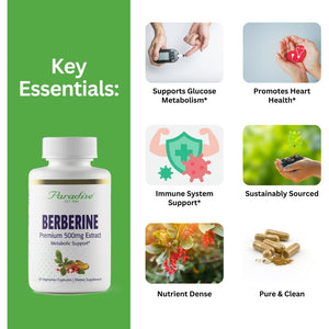 Paradise Herbs, Berberine Extract, 500 Mg, Pure & Potent Berberine Supplement, Vegan, Non-Gmo, Gluten Free, 60 Vegetarian Capsules
