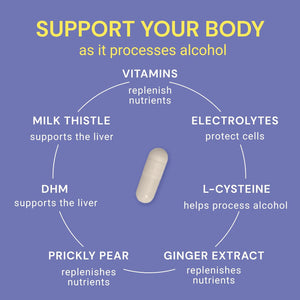 Blowfish Wingman | Supplement with DHM + L-Cysteine + Electrolytes | Feel Better after Drinking | Pre-Alcohol Liver Support & Hydration