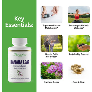 Paradise Herbs, Banaba Leaf, 12:1 Concentrated Extract, 250 Mg, Vegan, Gluten-Free, Non-Gmo, 180 Capsules