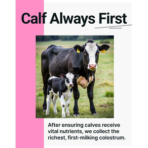Sonohealth Cowabunga Colostrum - Premium, Pure & Unaltered Colostrum Powder Supplement - for Immune Support, Gut Health, Muscle Recovery & Wellness - Kosher & Halal Certified Calostro