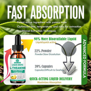 Wellveravida L Theanine Caffeine Liquid Drops, High Potency L-Theanine 100Mg W. Caffeine Vitamin B12 B6, Natural Nootropic Brain for Smooth Energy Focus Alertness, 6X Stronger than Pills Powder Gum