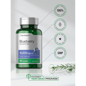 Horbäach Blueberry Extract Supplement | 150 Capsules | Blueberry Concentrate | Non-Gmo & Gluten Free Formula
