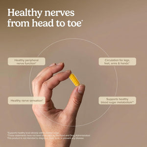 Terry Naturally Healthy Feet & Nerves - Herbal Supplement with Bioactive Vitamin B12 - Circulation & Nerve Health Support Supplement - Vegan Capsules with Boswellia Serrata - 120 Capsules
